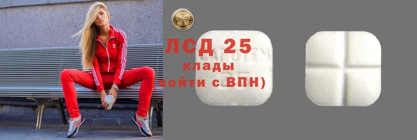 стаф Алзамай