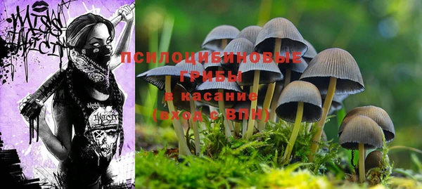 прущая мука Арсеньев