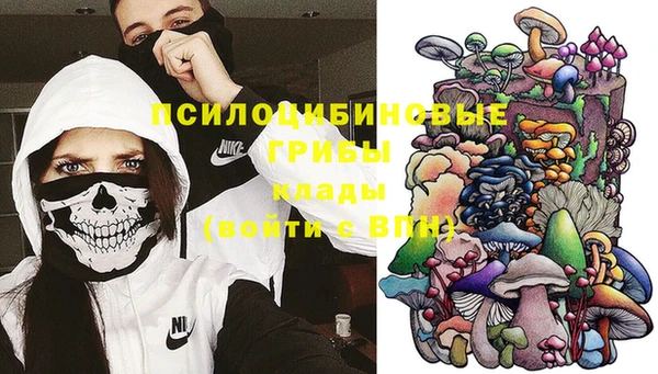 ECSTASY Алексин