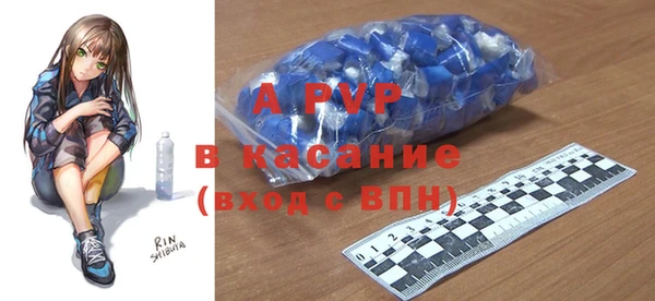 стаф Алзамай